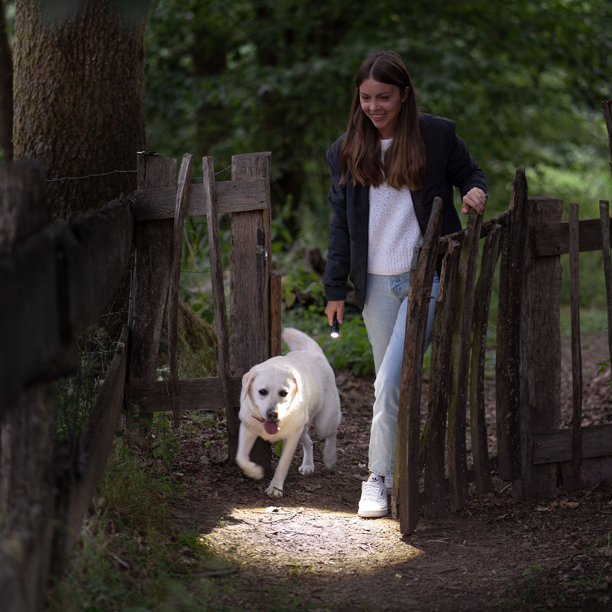 P5 Core Torch held by woman walking a Labrador along a rural fence lined path at dusk light beam on ground