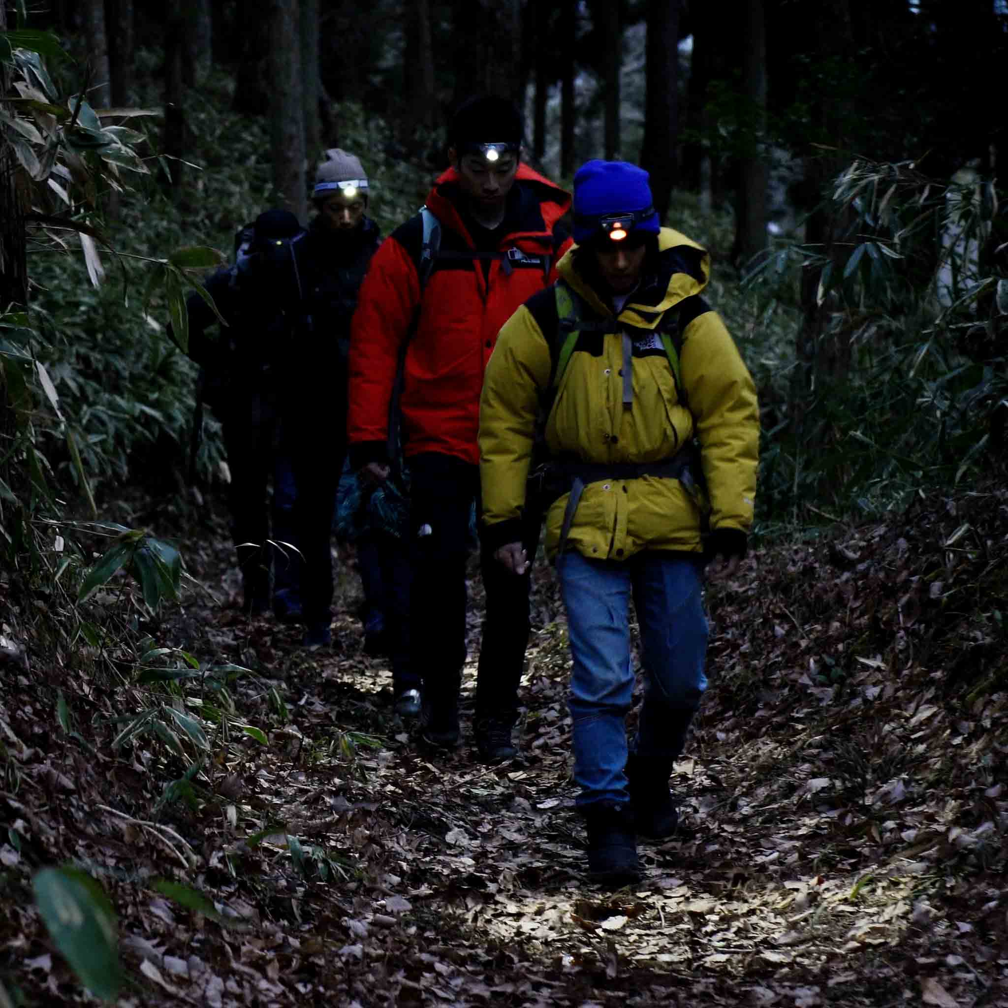 Ledlenser MH4 Powercase Combo headlamp and charging case used by hikers with headlamps on a forest trail at night