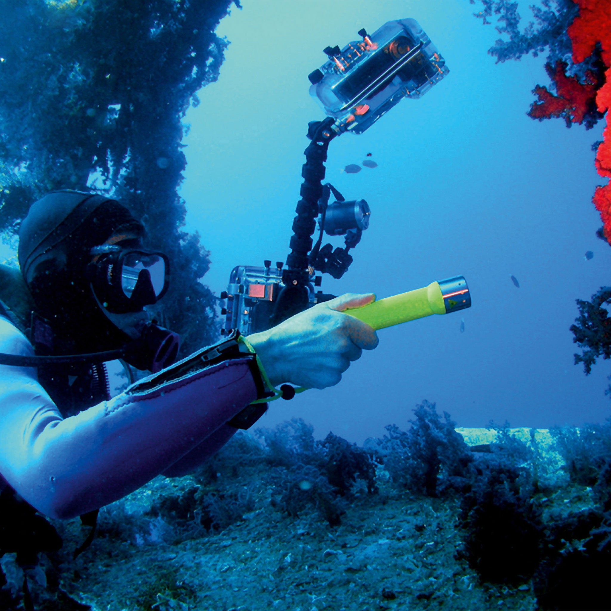 D14 2 Battery Operated Torch held by diver underwater neon green flashlight with mounted flexible arm and underwater gear